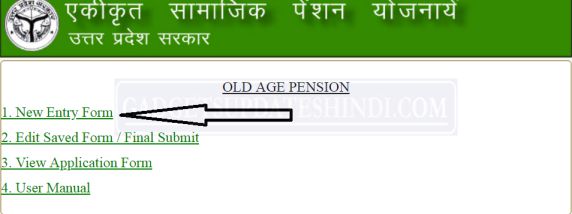 Up-Old-Pension-New Entry Form