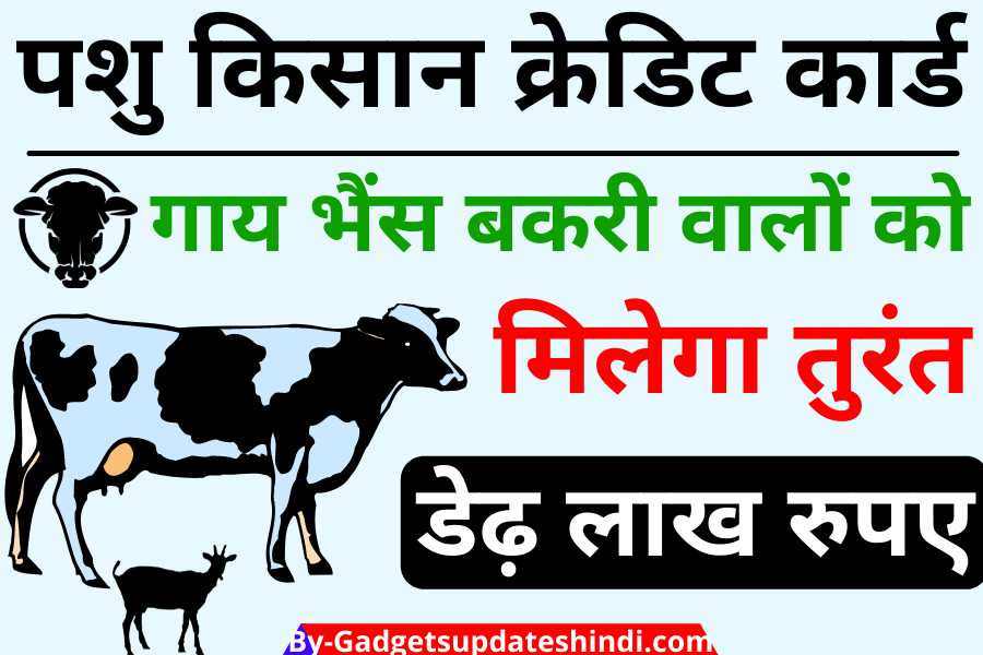 Pashu Kisan Credit Card Yojana 2022,Today if such farmers have cow, buffalo, then they will get 1.6 lakh instant loan