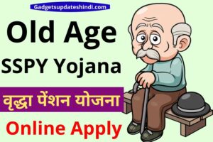 Vridha Pension Apply Today 2022, SSPY,old age pension up Vriddha Pension Yojana List 2022