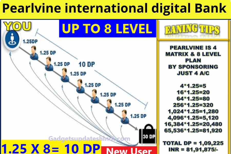 Pearlvine international digital bank login Today: Pearlvine Global Digital Bank 2024