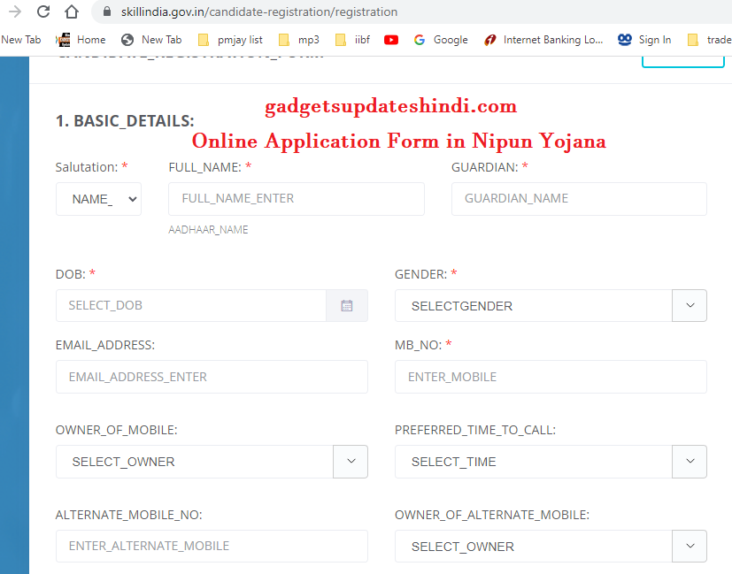 Online Application Form in Nipun Yojana