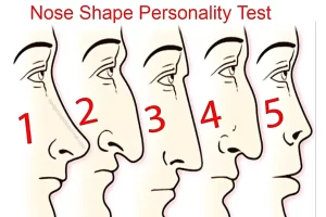Nose Shape Personality Test