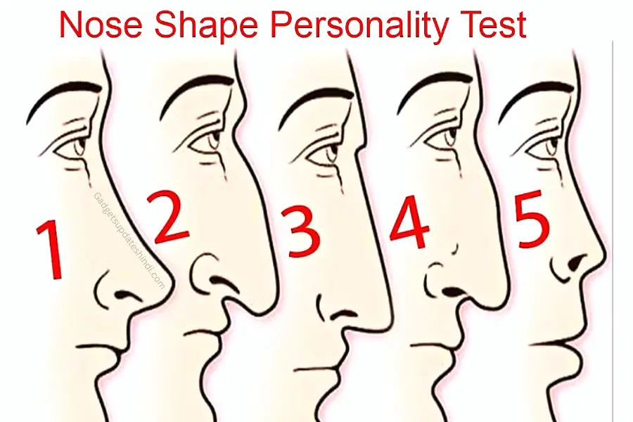 Nose Shape Personality Test 2023